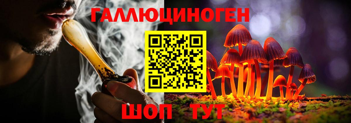 Галлюциногенные грибы Cubensis Краснознаменск